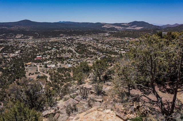 19 High Country Dr, Cedar Crest, NM 87008 - photo 17