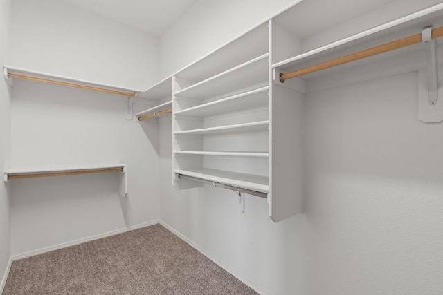 walk in closet featuring carpet