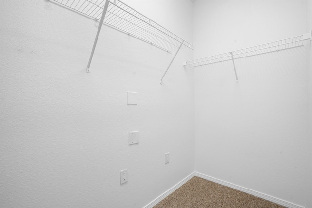 walk in closet featuring carpet flooring