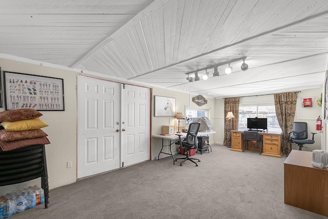 7 Wildwood Ln, Peralta, NM 87042 - office area featuring wooden ceiling, rail lighting, and light colored carpet