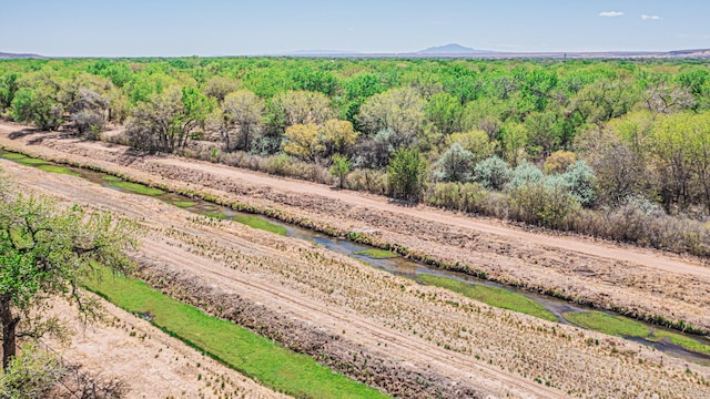 7 Wildwood Ln, Peralta, NM 87042 - birds eye view of property featuring a mountain view and a forest view