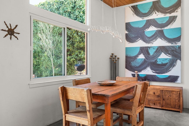 dining room with a wealth of natural light