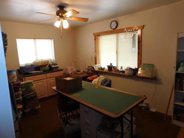16 Horseshoe Dr, Reserve, NM 87830 - photo 15
