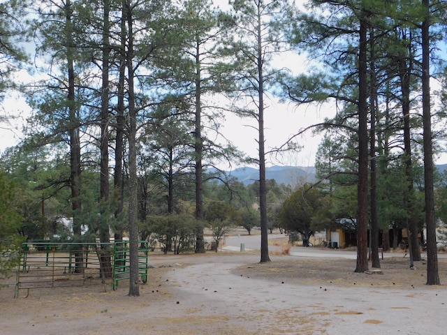 16 Horseshoe Dr, Reserve, NM 87830 - photo 9