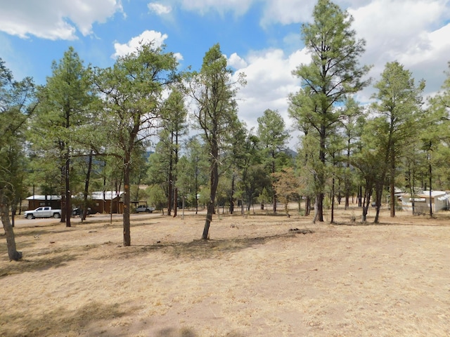 16 Horseshoe Dr, Reserve, NM 87830 - photo 8