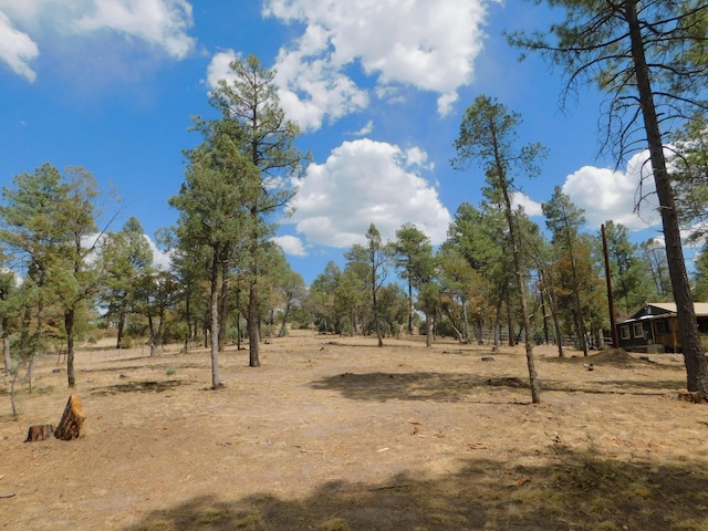 16 Horseshoe Dr, Reserve, NM 87830 - photo 7
