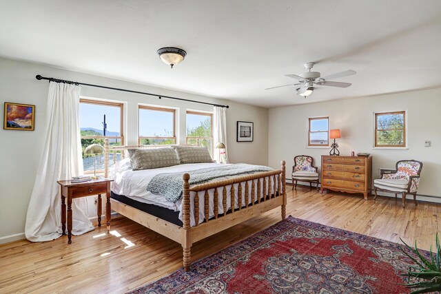 107 Rome Ln, Corrales, NM 87048 - bedroom with multiple windows, light wood finished floors, and ceiling fan