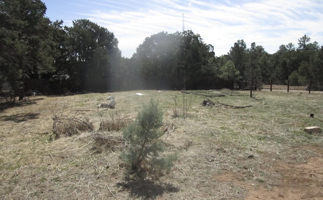 22 Mallard Dr, Tijeras, NM 87059 - photo 19