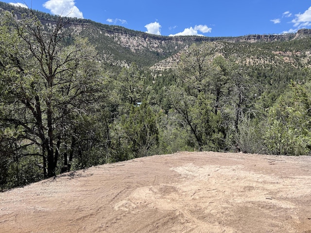 1A1A Camino Penasco, Jemez Springs, NM 87025 - photo 9