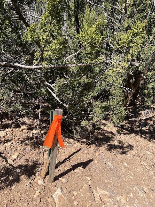 1A1A Camino Penasco, Jemez Springs, NM 87025