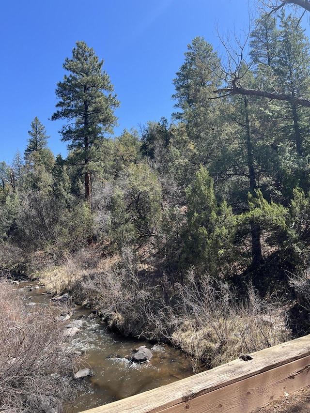 1A1A Camino Penasco, Jemez Springs, NM 87025 - photo 8