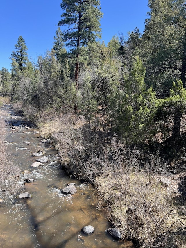 1A1A Camino Penasco, Jemez Springs, NM 87025 - photo 6