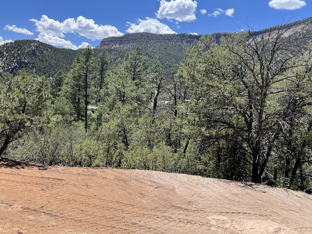 1A1A Camino Penasco, Jemez Springs, NM 87025 - photo 5