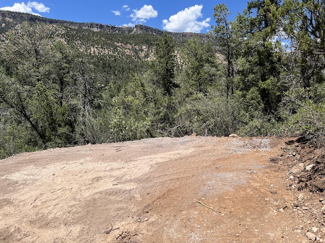 1A1A Camino Penasco, Jemez Springs, NM 87025 - photo 3