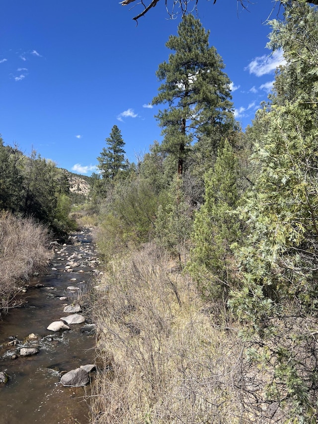 1A1A Camino Penasco, Jemez Springs, NM 87025 - photo 2