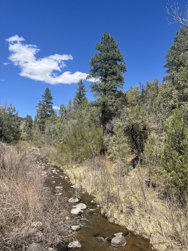 1A1A Camino Penasco, Jemez Springs, NM 87025 - photo 1