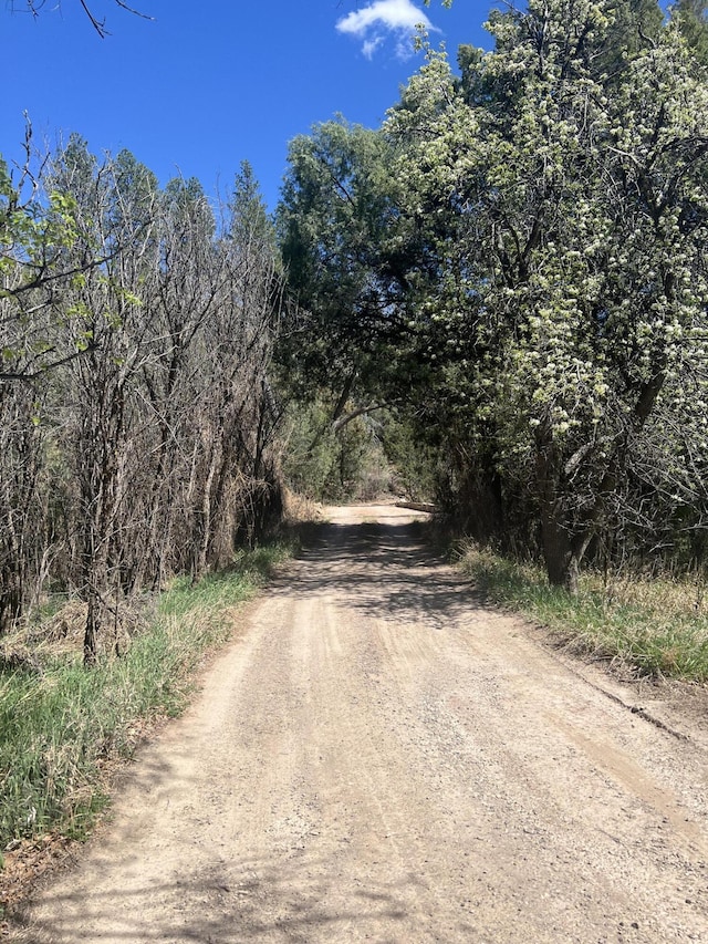1A1A Camino Penasco, Jemez Springs, NM 87025 - photo 19