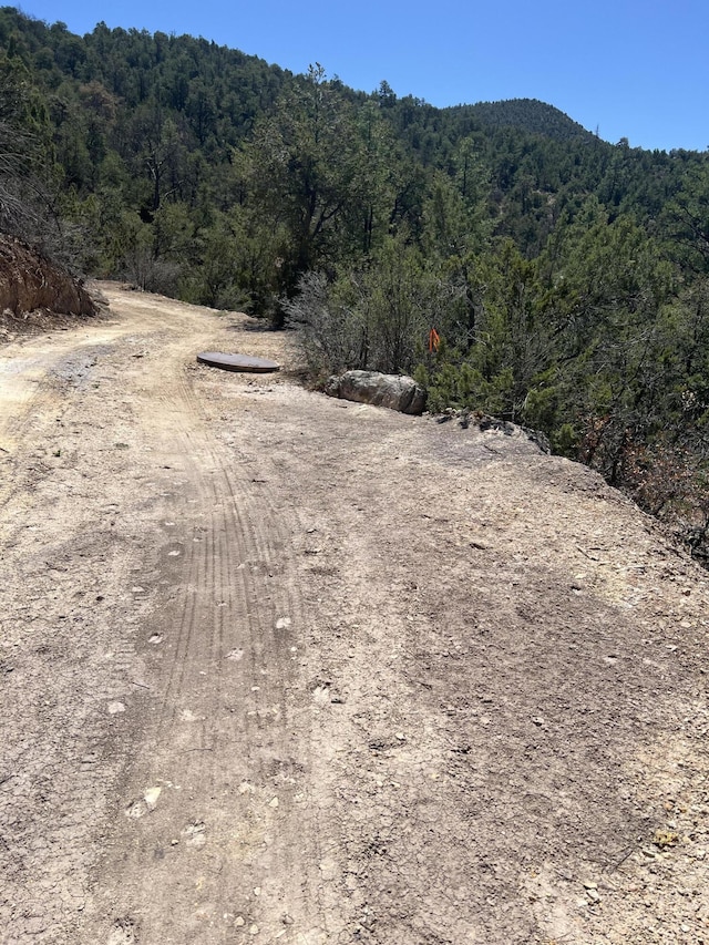 1A1A Camino Penasco, Jemez Springs, NM 87025 - photo 16