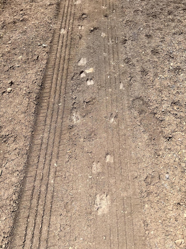 1A1A Camino Penasco, Jemez Springs, NM 87025 - photo 14