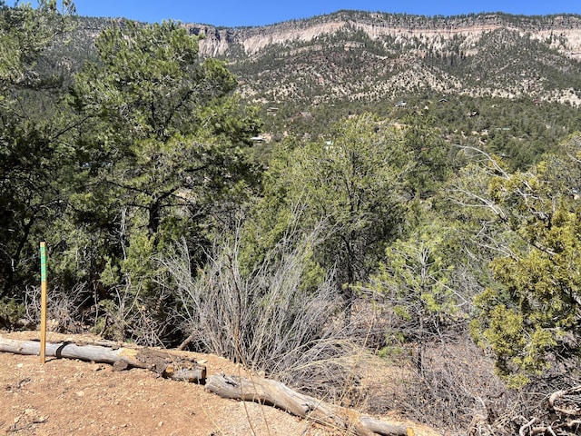 1A1A Camino Penasco, Jemez Springs, NM 87025