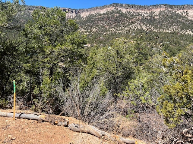 1A1A Camino Penasco, Jemez Springs, NM 87025 - photo 21