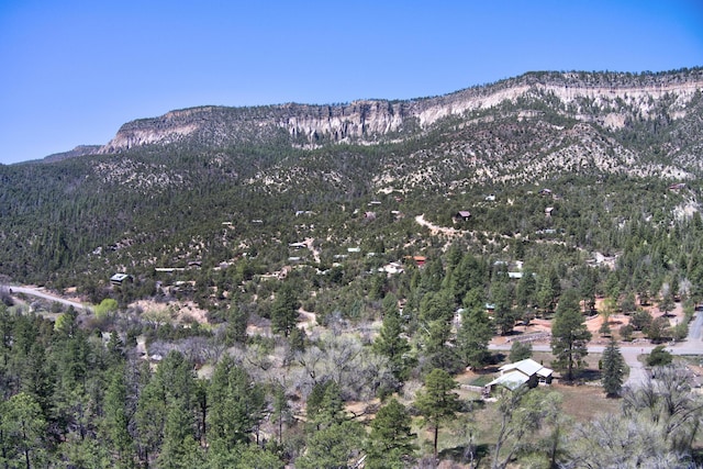 1A1A Camino Penasco, Jemez Springs, NM 87025