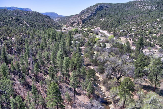 1A1A Camino Penasco, Jemez Springs, NM 87025