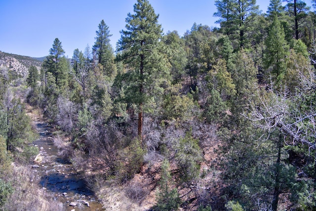 1A1A Camino Penasco, Jemez Springs, NM 87025
