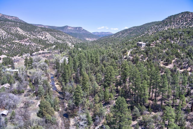 1A1A Camino Penasco, Jemez Springs, NM 87025