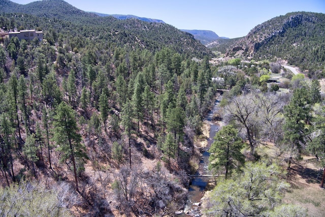 1A1A Camino Penasco, Jemez Springs, NM 87025