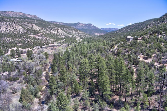 1A1A Camino Penasco, Jemez Springs, NM 87025