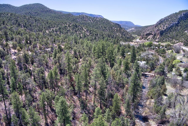 1A1A Camino Penasco, Jemez Springs, NM 87025