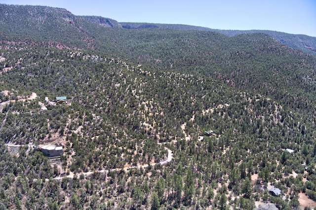 1A1A Camino Penasco, Jemez Springs, NM 87025