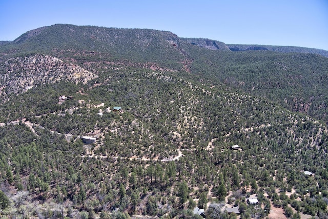 1A1A Camino Penasco, Jemez Springs, NM 87025