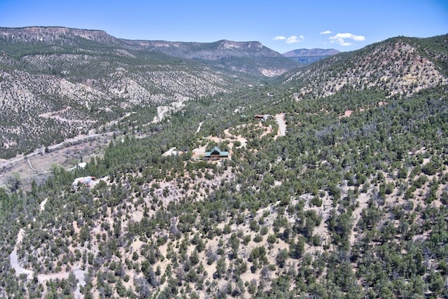 1A1A Camino Penasco, Jemez Springs, NM 87025