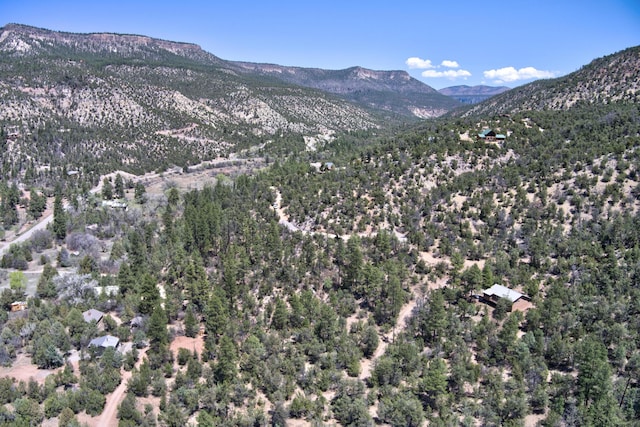 1A1A Camino Penasco, Jemez Springs, NM 87025