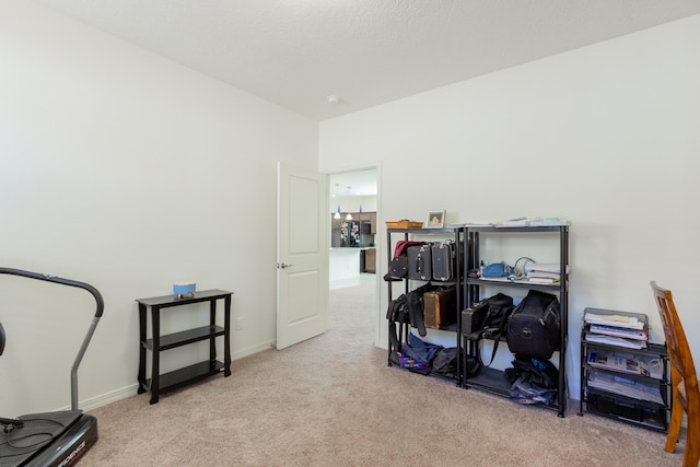 misc room featuring baseboards and carpet flooring