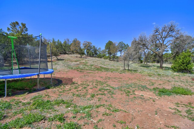view of yard featuring a trampoline