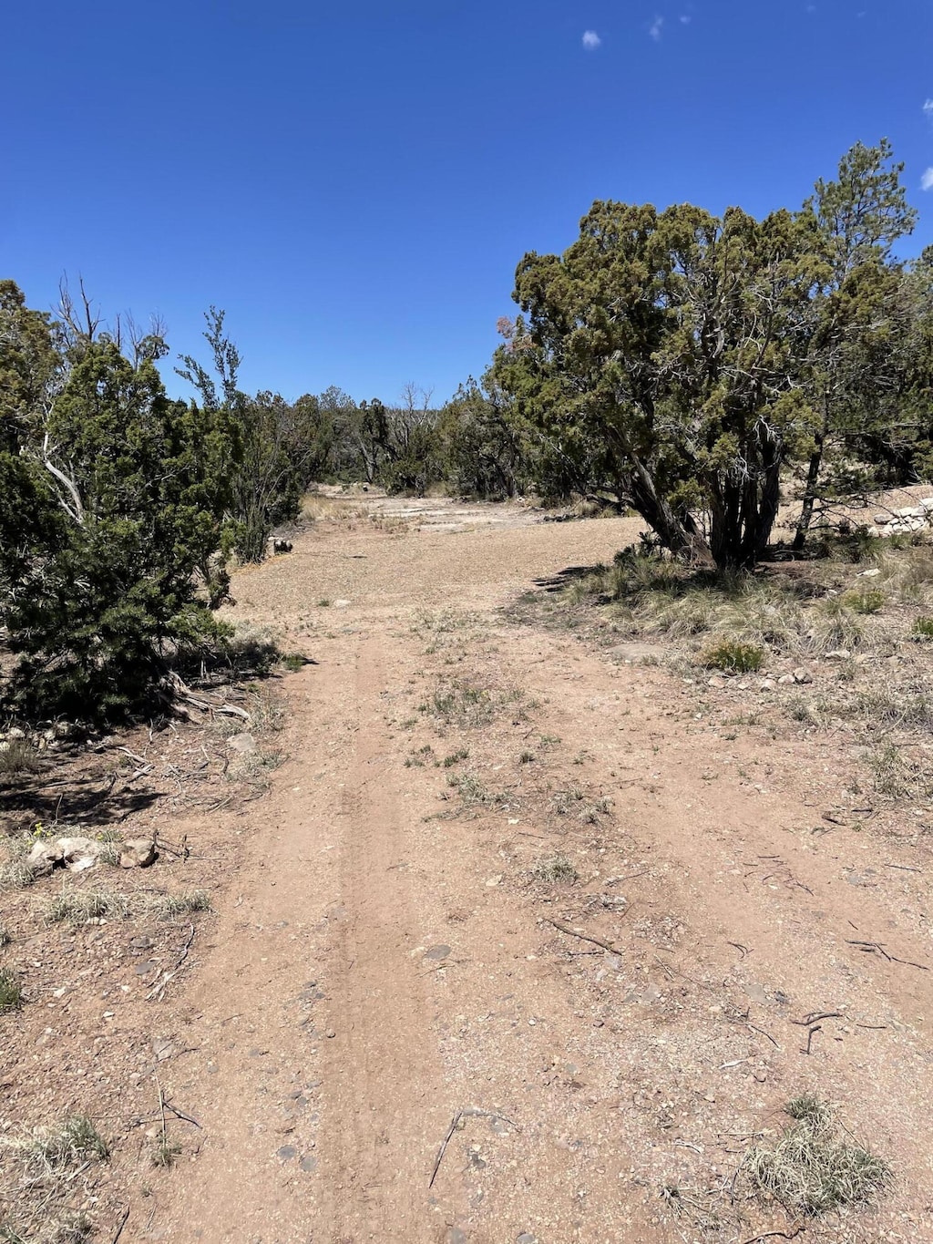 36 Morper Ln, Edgewood, NM 87015 - photo 2