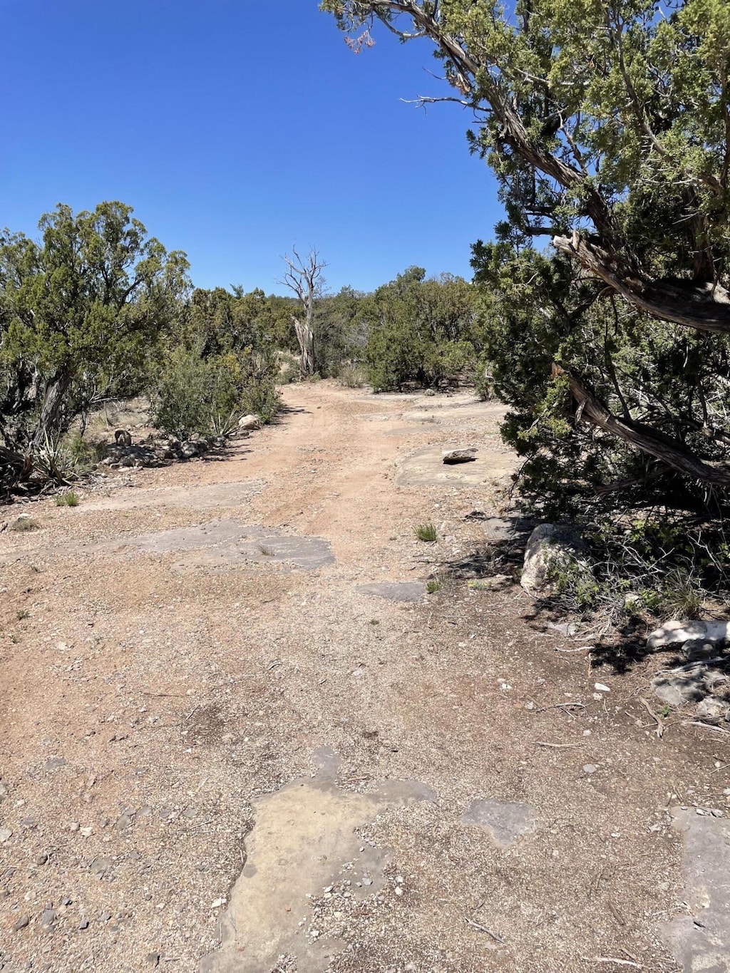 36 Morper Ln, Edgewood, NM 87015 - photo 1