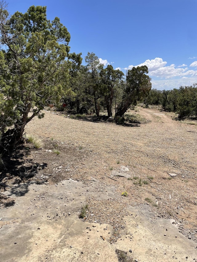 36 Morper Ln, Edgewood, NM 87015 - photo 3