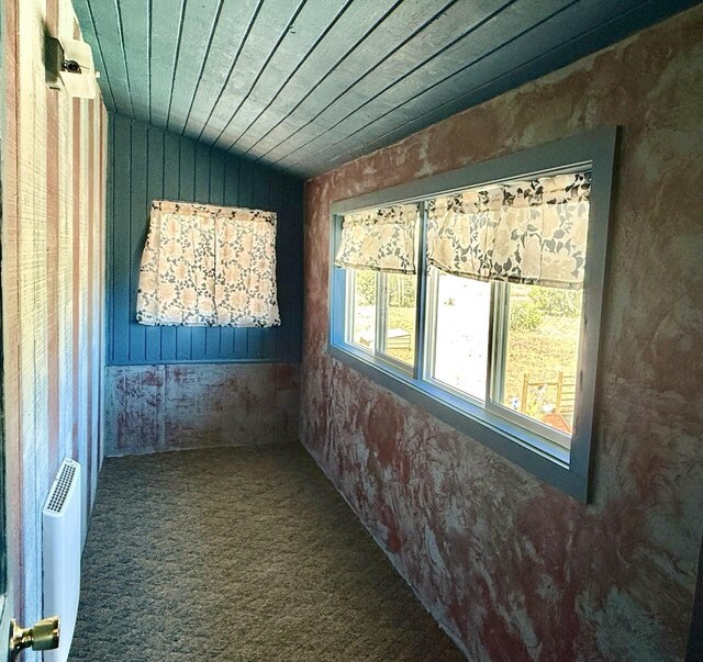 10 Cliffside Dr, Ramah, NM 87321 - spare room with wooden walls, wooden ceiling, and carpet floors
