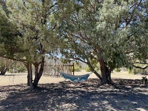 10 Cliffside Dr, Ramah, NM 87321 - view of yard with fence