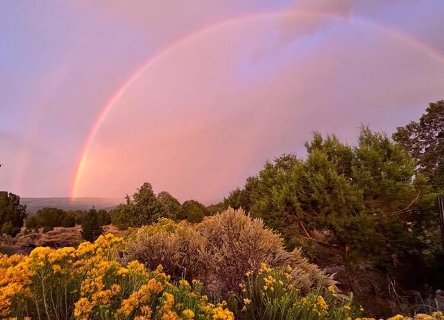 10 Cliffside Dr, Ramah, NM 87321 - view of nature