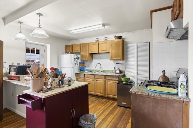 kitchen featuring exhaust hood, crown molding, a sink, freestanding refrigerator, and wood finished floors
