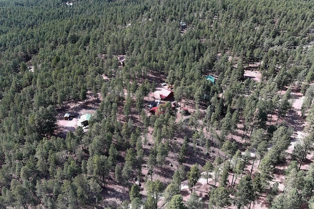 birds eye view of property featuring a wooded view