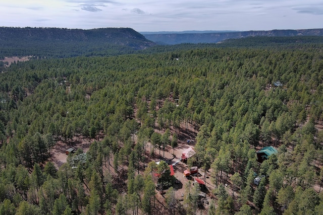 drone / aerial view with a wooded view and a mountain view