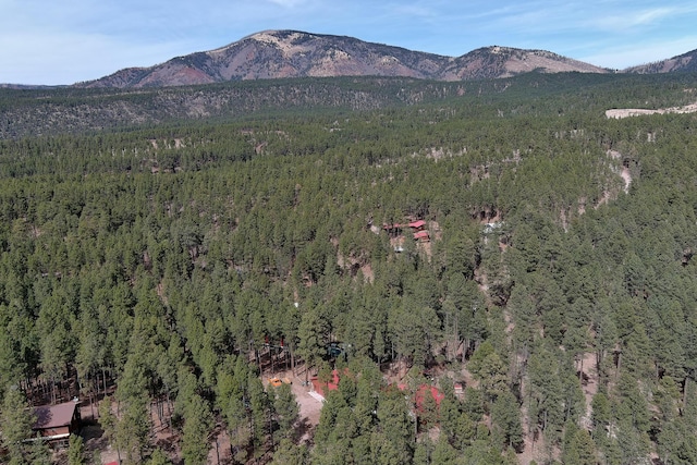 107 Bonito Way, Jemez Springs, NM 87025 - mountain view with a forest