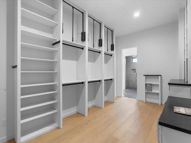 19 Anasazi Trl, Sandia Park, NM 87047 - walk in closet with light wood-style flooring