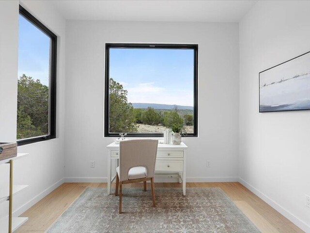 19 Anasazi Trl, Sandia Park, NM 87047 - office with baseboards, light wood-style flooring, and a healthy amount of sunlight